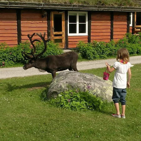 Femundtunet