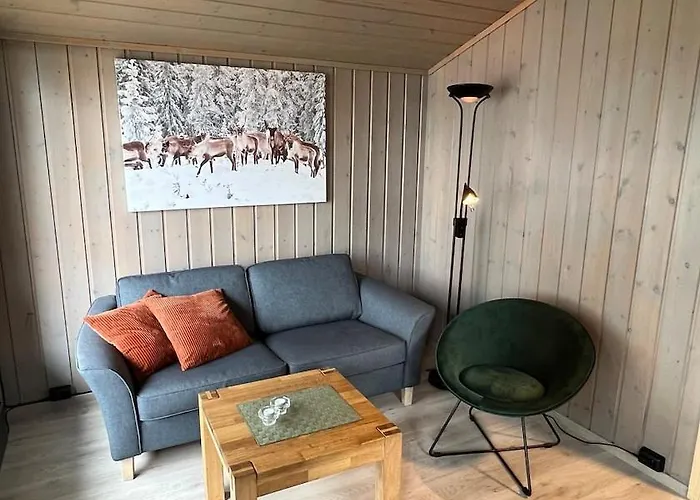 Femundtunet 2* Drevsjø